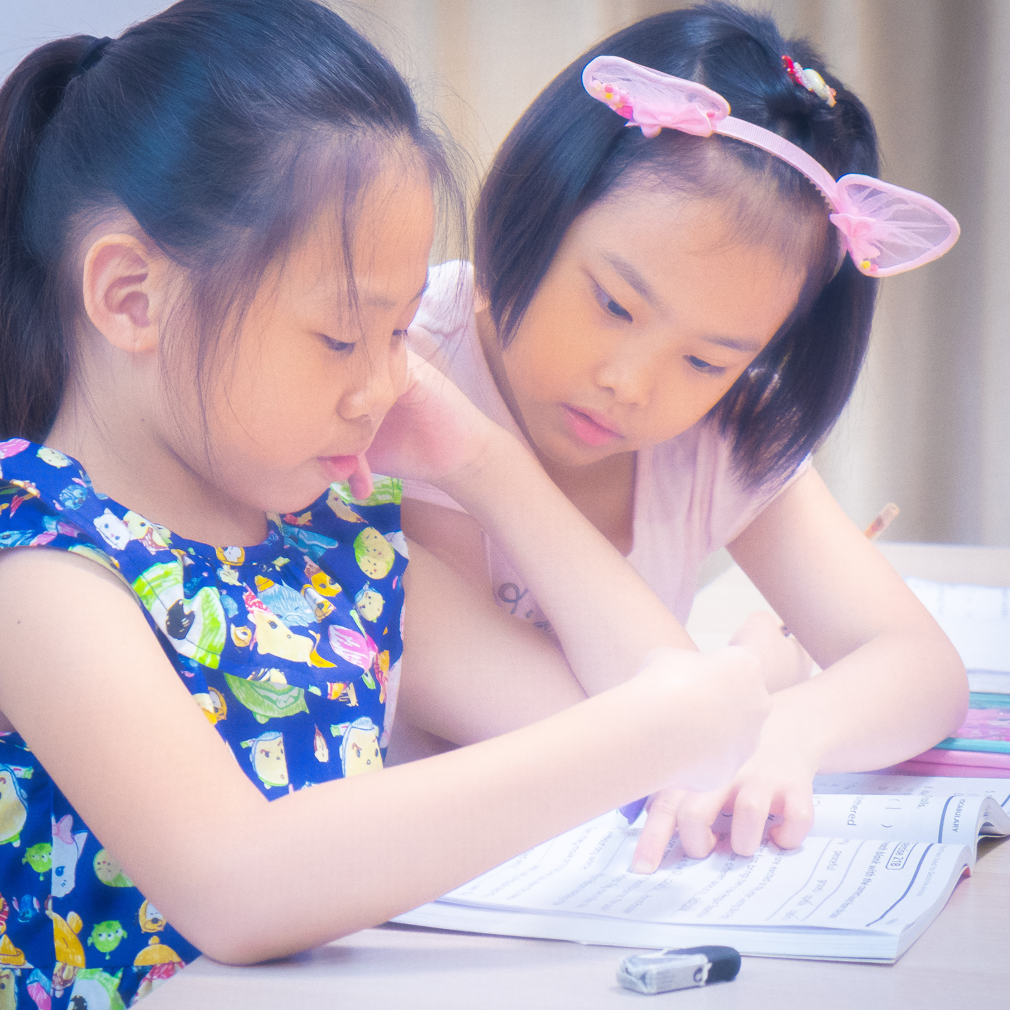 Time Table for PSLE Science Revision and Tips and Strategy for AL1
