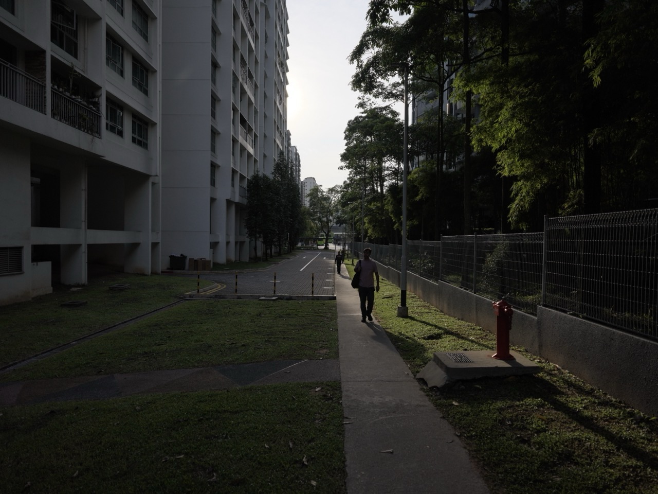 HDB flats at sunset beside Parc Centros and a side road in Punggol