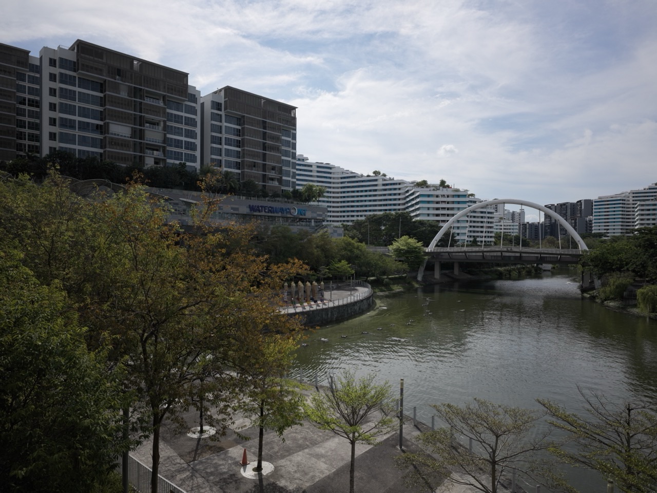 Canal, trees and a bridge at Punggol Waterway Park beside Waterway Point