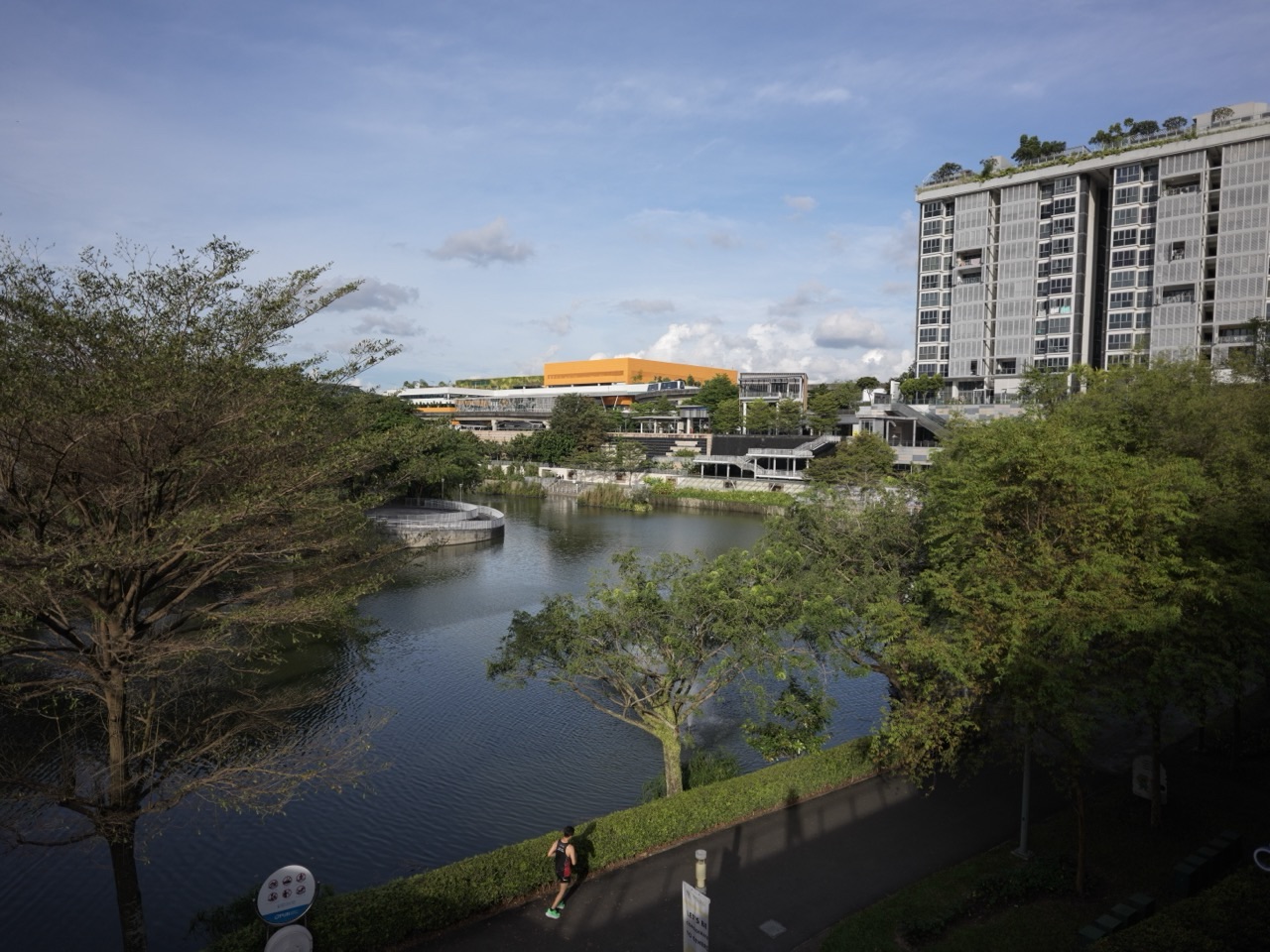 Canal and bridge at Punggol Waterway Park with a runner in the foreground