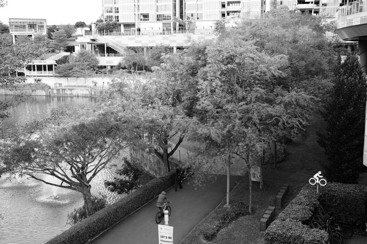 Running and cycling path at Punggol Waterway Park beside Waterway Point