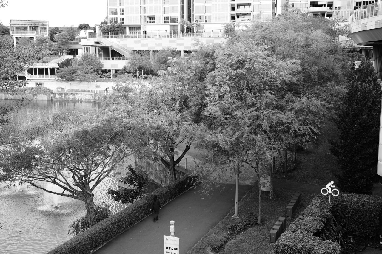 Waterway Point Running Park Water Feature Canal with trees