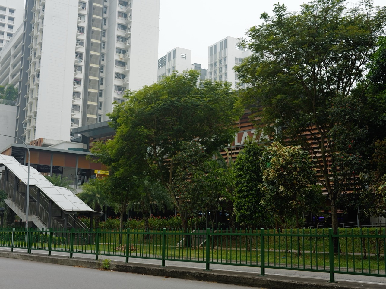 Pedestrian crossing near Northshore Plaza in Punggol with trees partly covering the shopping centre façade.